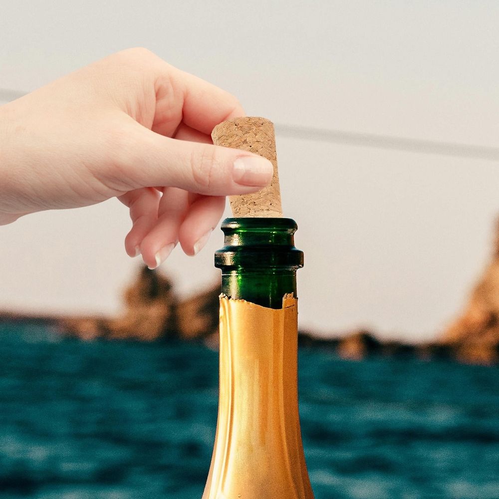 Beige Wooden Wine Bottle Stoppers 20pcs Reusable Leakproof eelf