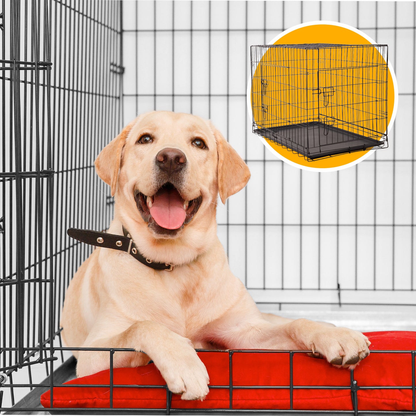 4Paws Dog Cage Pet Crate Puppy Metal Cage ABS Tray Foldable Portable 30" - Black