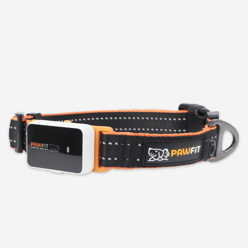 Pawfit 3 Collar Xlarge