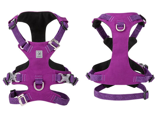 Harness - Whinhyepet Purple (2XS)