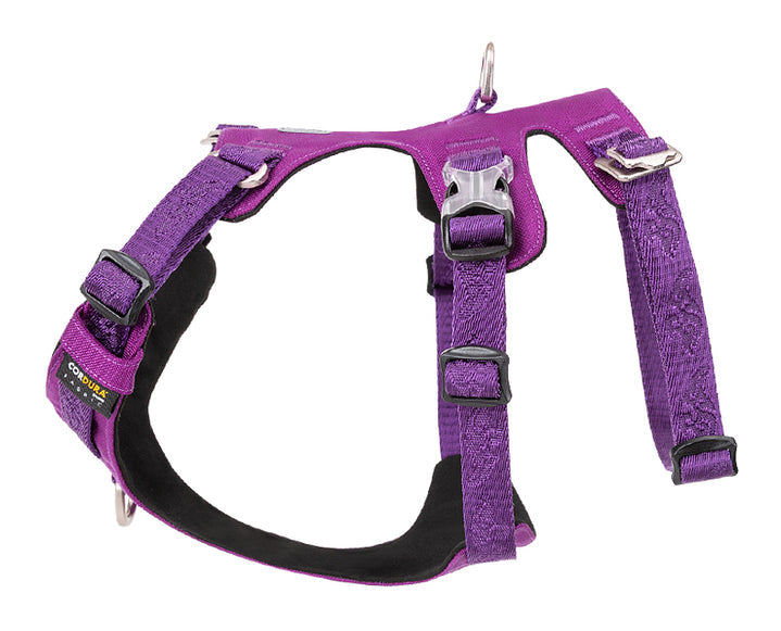 Harness - Whinhyepet Purple (2XS)
