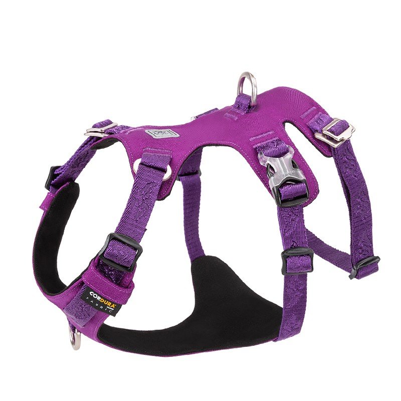 Harness - Whinhyepet Purple (L)