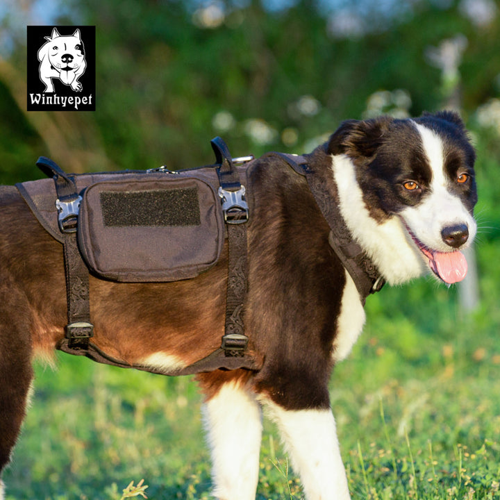 Military Harness - Whinhyepet Black (L)