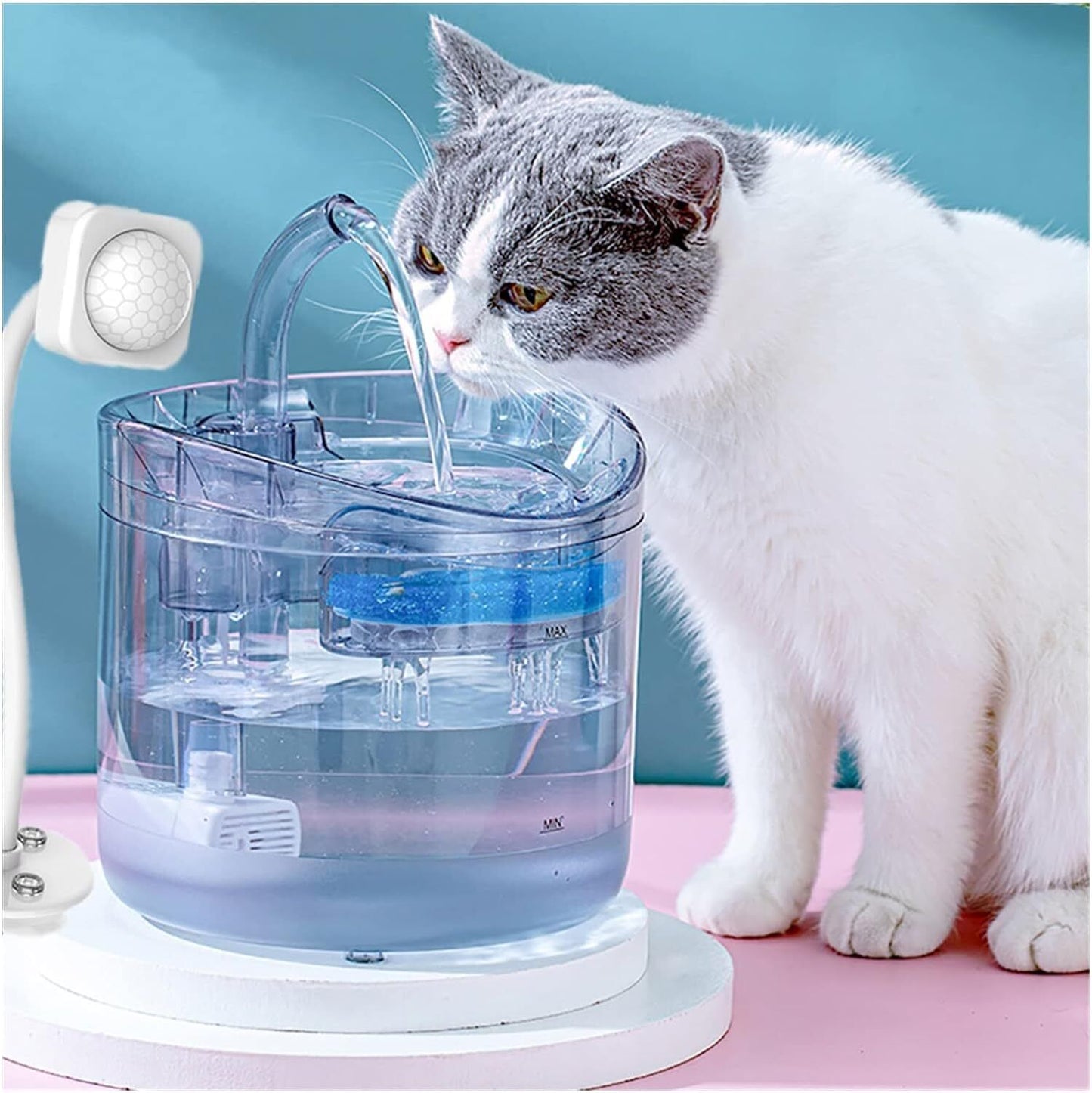 8PCS Filter Pet Water Fountain Automatic Sensor Drinking Dispenser Filter