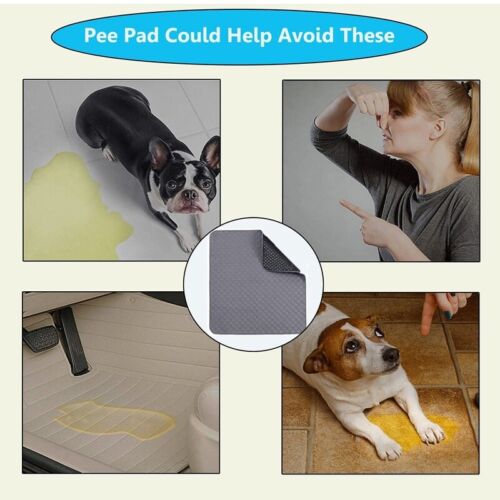 Washable Pet Pee Pad 70x50CM Reusable Dog & Cat Training Wee Absorbent Mat