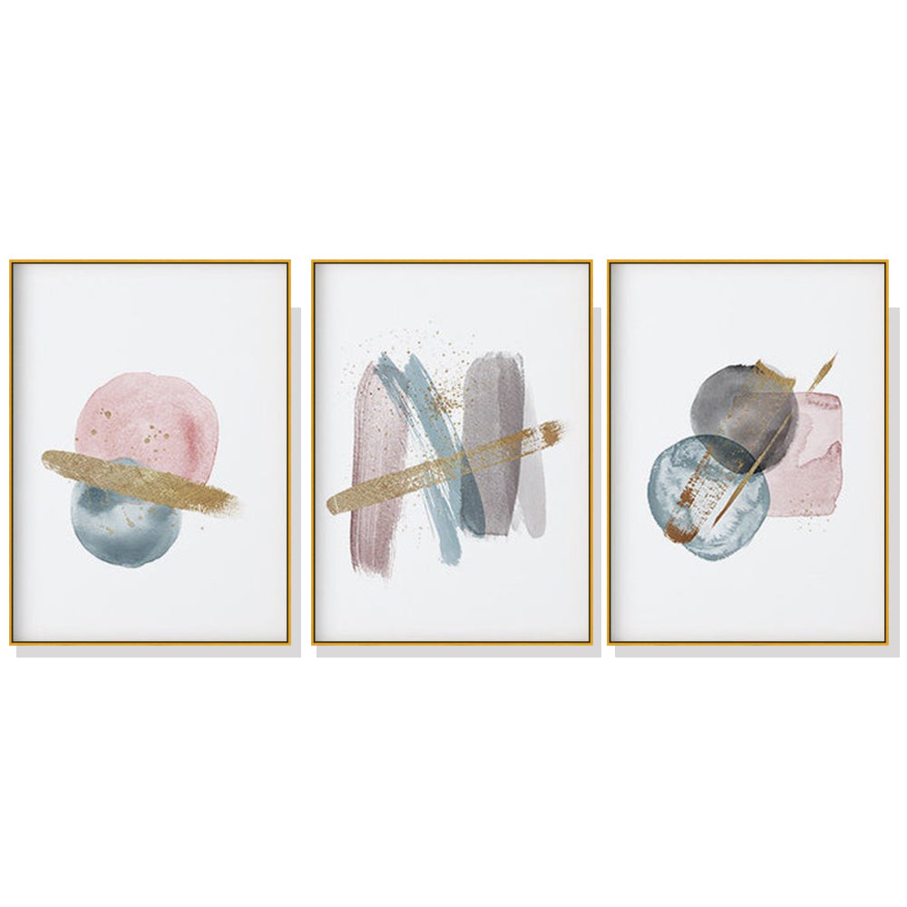 Blush Pink Watercolor 3 Sets Gold Frame Canvas Wall Art 50cm x 70cm