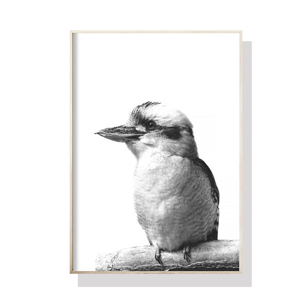 Wall Art Kookaburra Black Frame Canvas 80x120cm