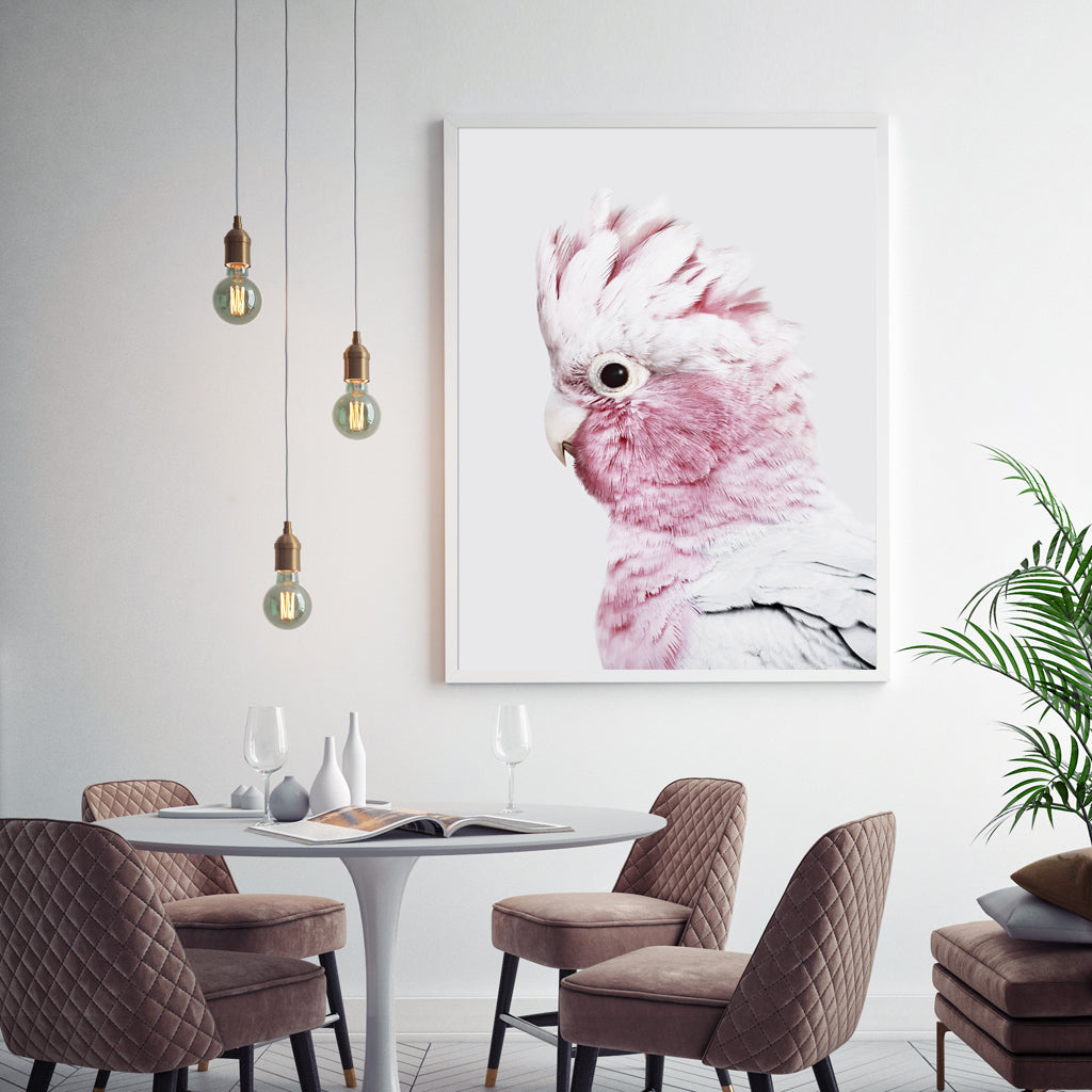 Wall Art 80cm x 120cm Pink Galah White Frame Canvas