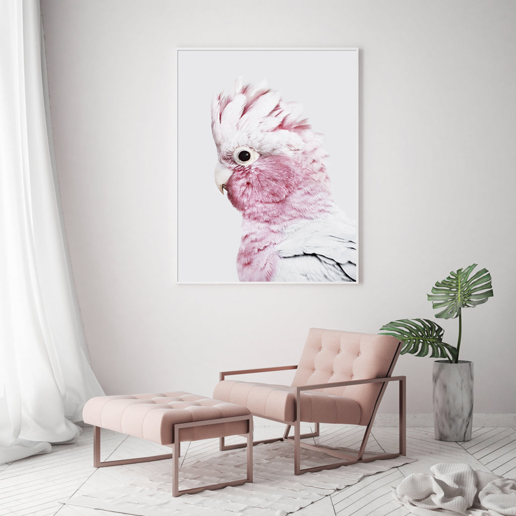 Wall Art 80cm x 120cm Pink Galah White Frame Canvas
