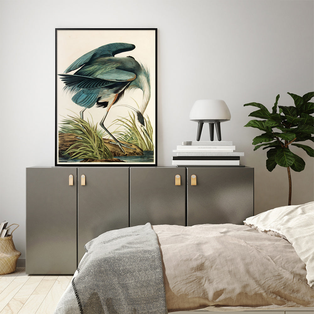 Wall Art Great Blue Heron By John James Audubon Black Frame Canvas 60cmx90cm