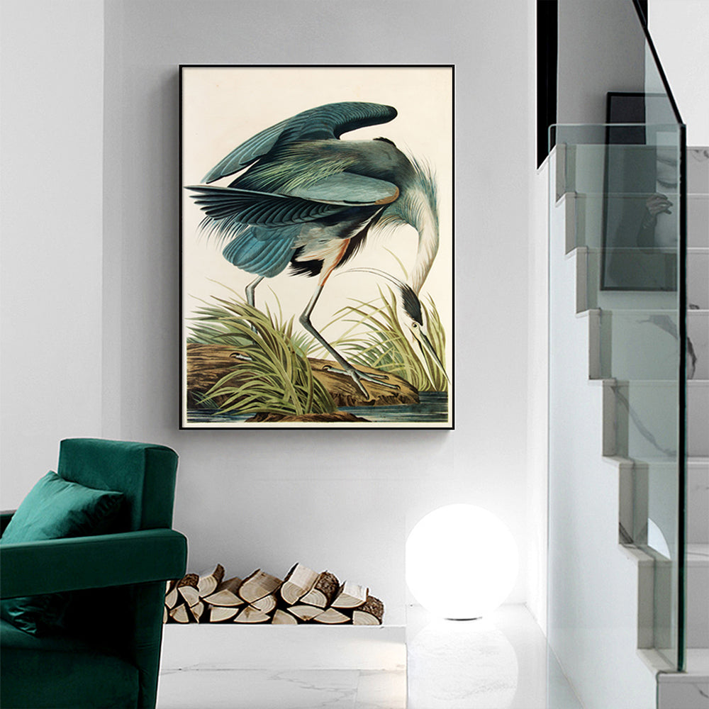 Wall Art Great Blue Heron By John James Audubon Black Frame Canvas 70cmx100cm