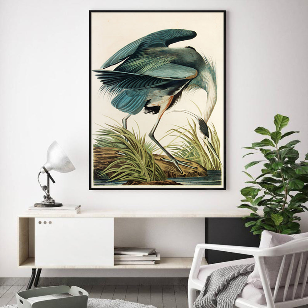 Wall Art Great Blue Heron By John James Audubon Black Frame Canvas 70cmx100cm