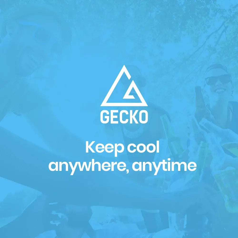 GECKO 70L Portable Bar Fridge and Freezer 12V/24V for Camping, Caravans, Silver