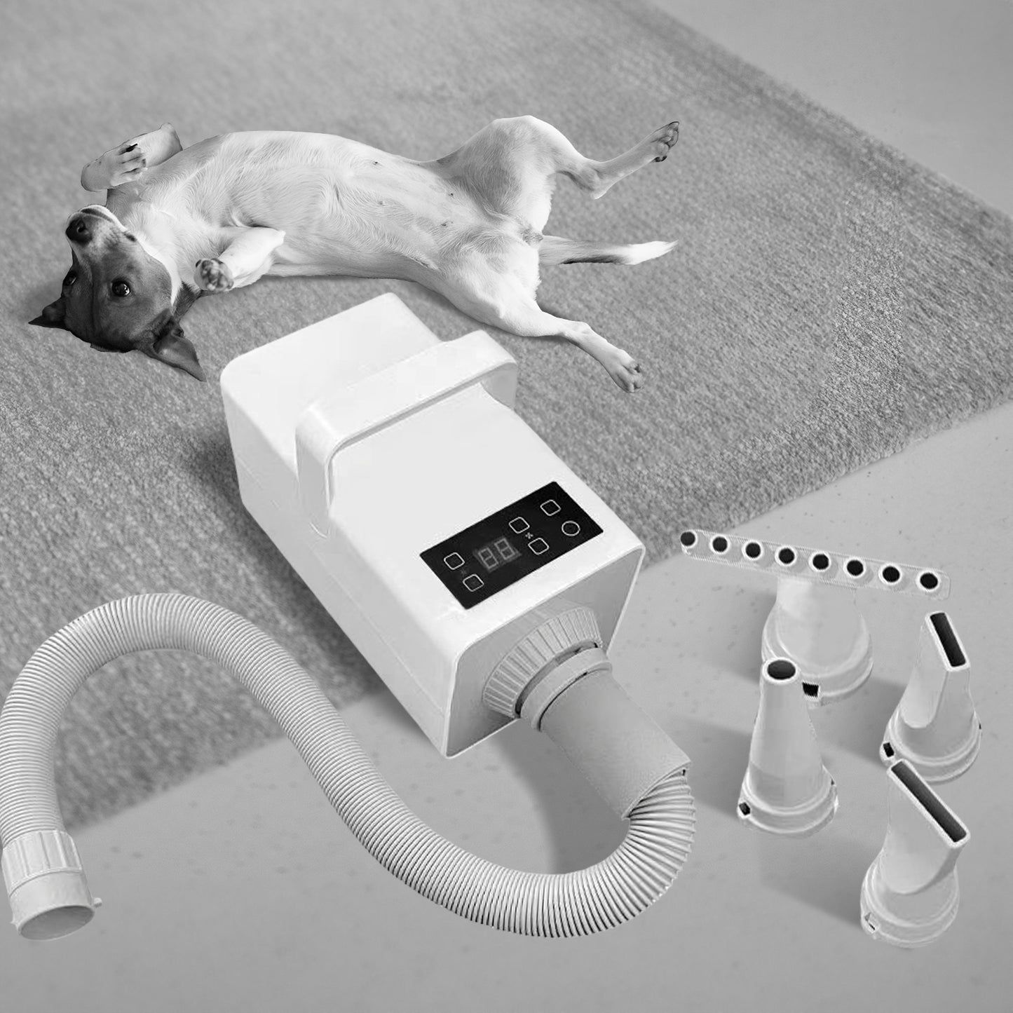 Pet Hair Dryer (White)