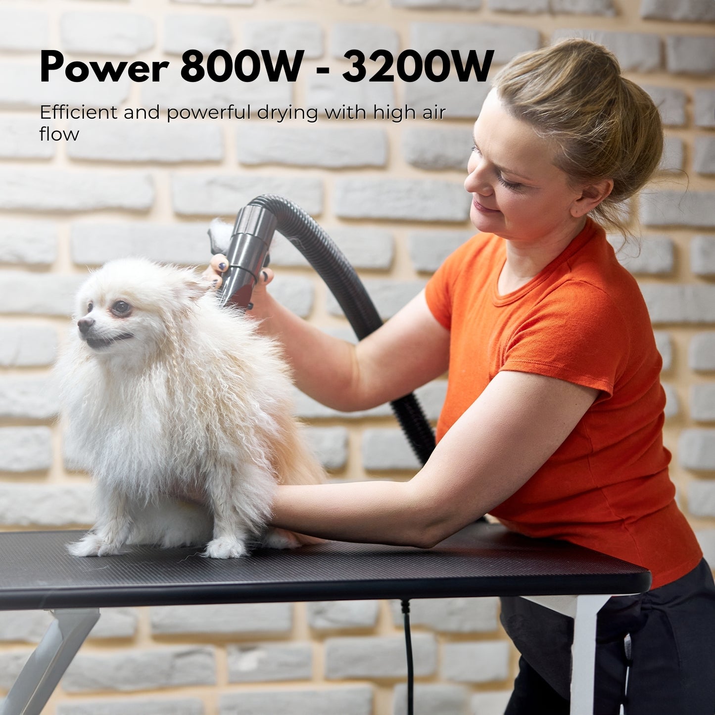 Pet Hair Dryer (White)