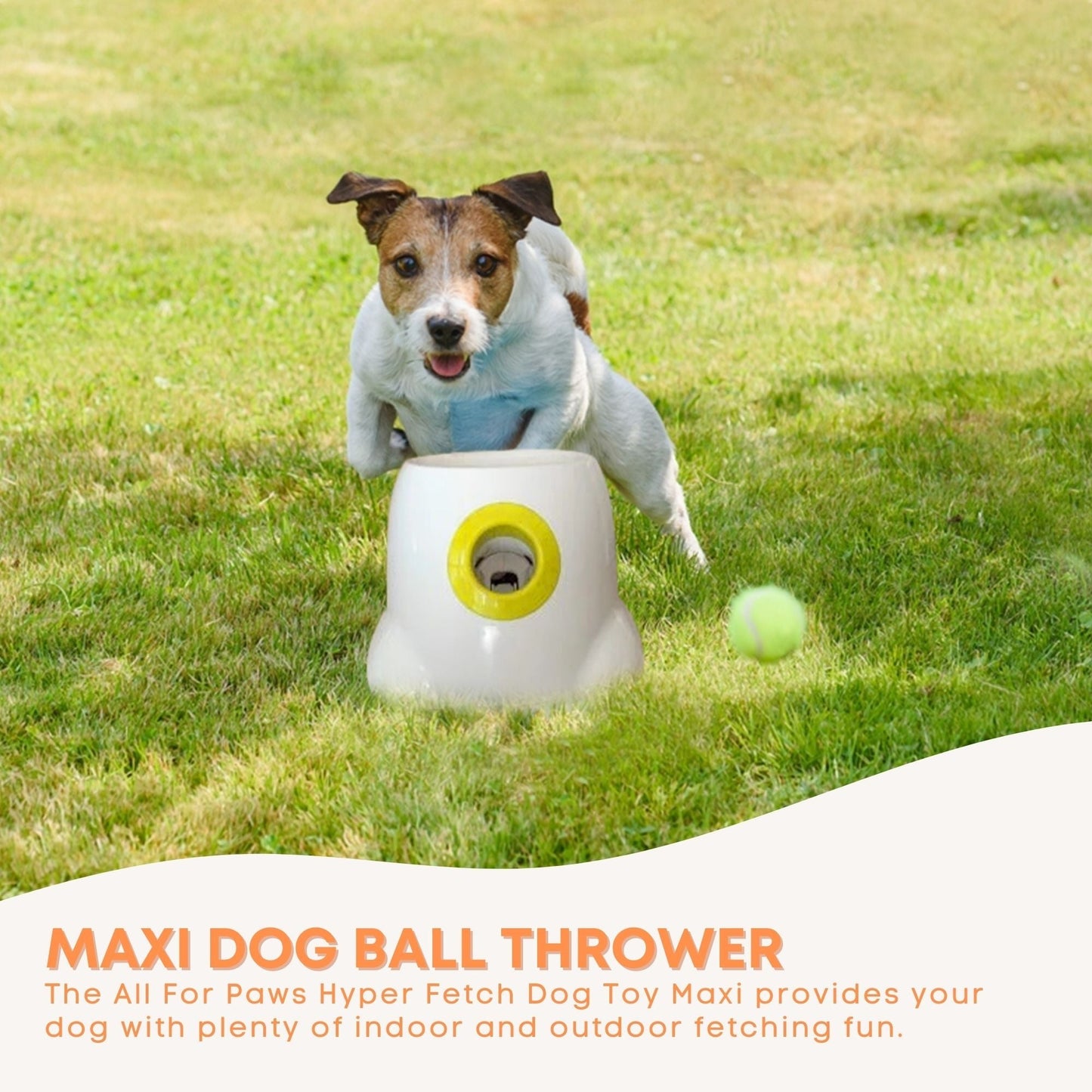 Dog Ball Thrower Hyper Fetch Maxi Large Interactive Pet Toy Launcher