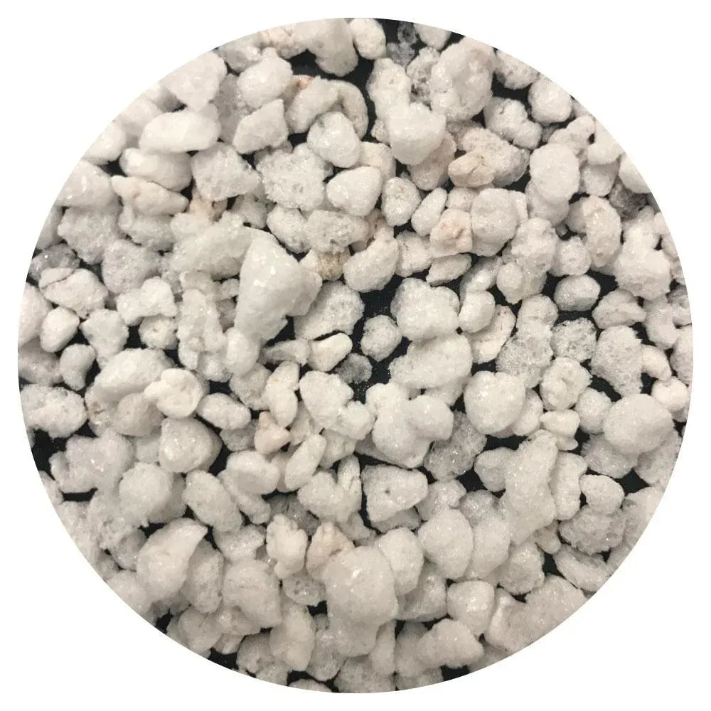 Organic Perlite Coarse 5L Premium Soil Expanded Medium for Plants Hydroponics