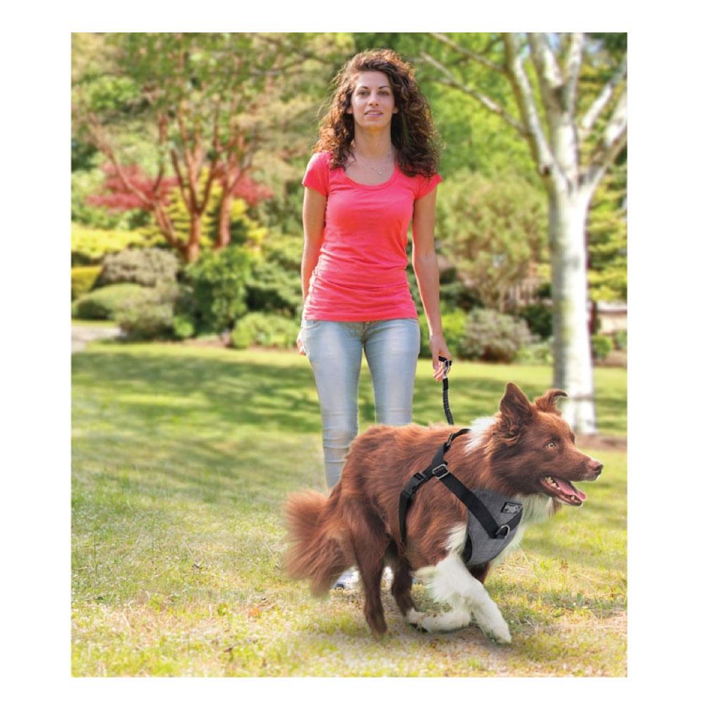 Dog Harness 2-in-1 Combo L - Car Travel Rides + Walks No-Pull Leash Seat Belt