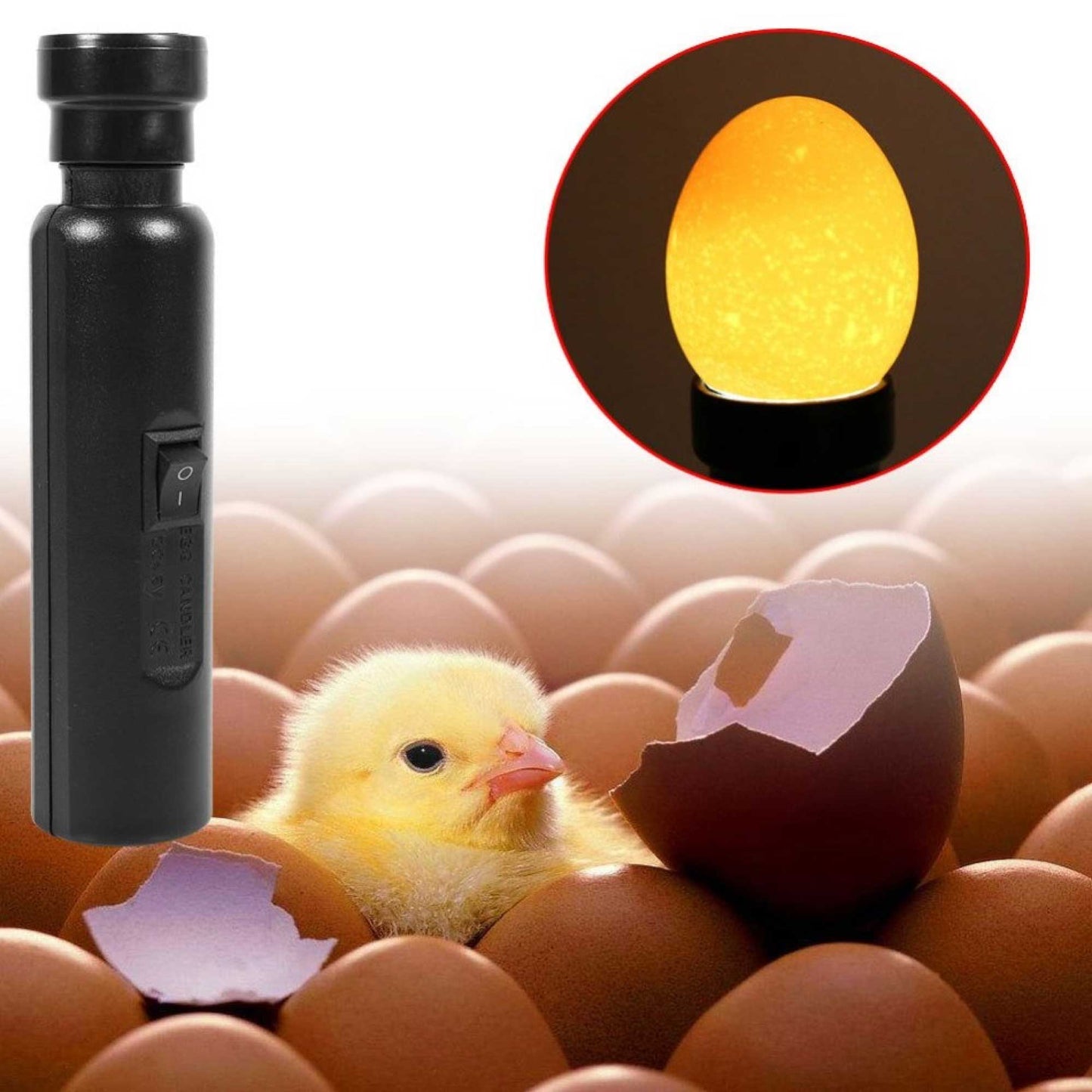 Egg Candler Lamp AU Plug LED Cool Light Chicken Duck Quail Hatching Incubator