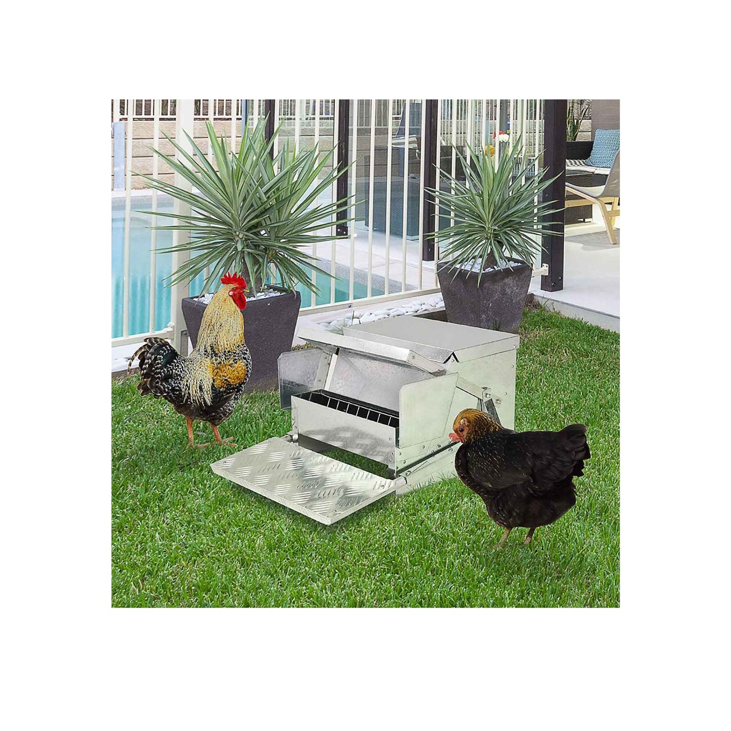 Automatic Chicken Feeder 9kg Chook Poultry Auto Treadle Aluminium Metal Feeders