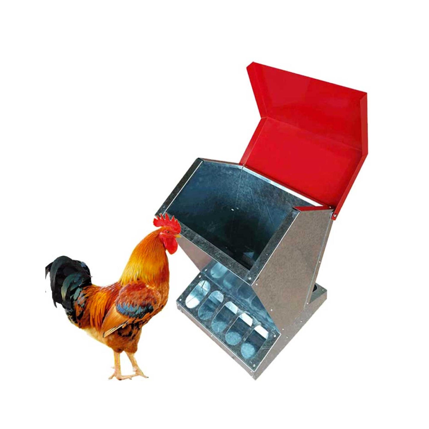 Automatic Chicken Feeder 10kg Chook Poultry Auto Trough Galvanised Metal Feeders