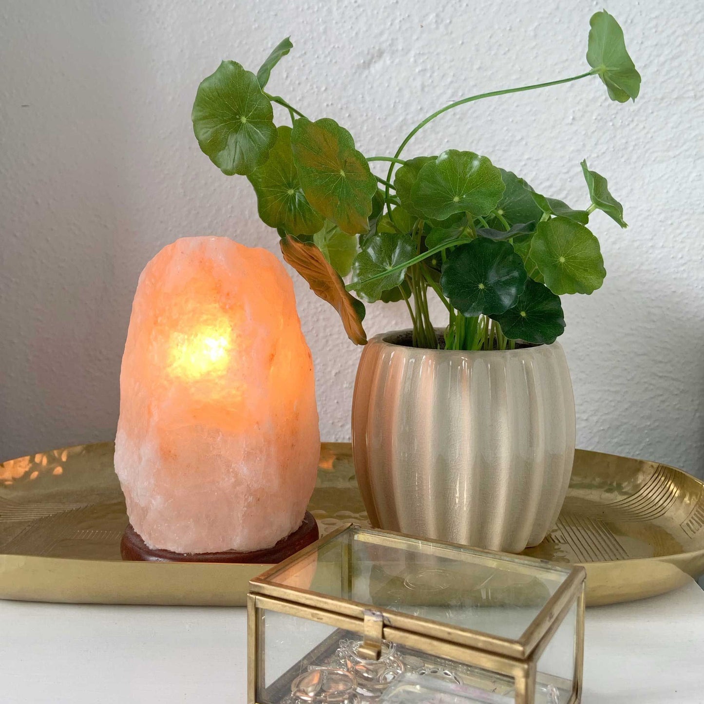 Himalayan Pink Salt Lamp 12V 12W 1-2kg Natural Rock Crystal Light with On/Off