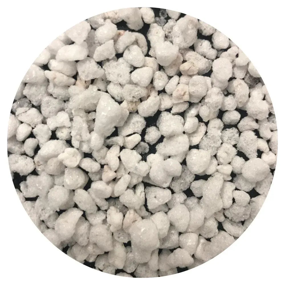 Perlite Coarse 100L Premium Soil Expanded Medium for Plants Hydroponics Bulk