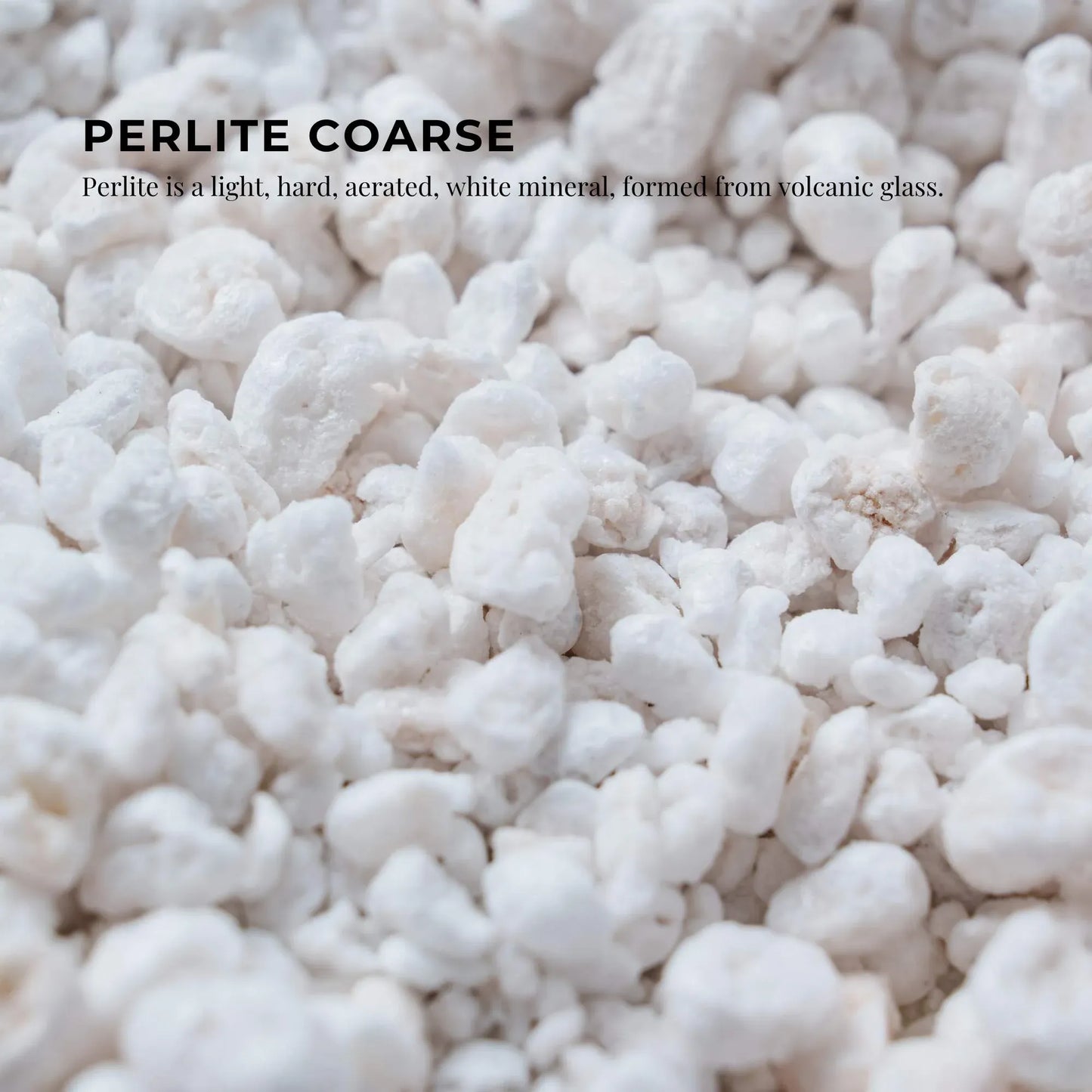 Perlite Coarse 100L Premium Soil Expanded Medium for Plants Hydroponics Bulk