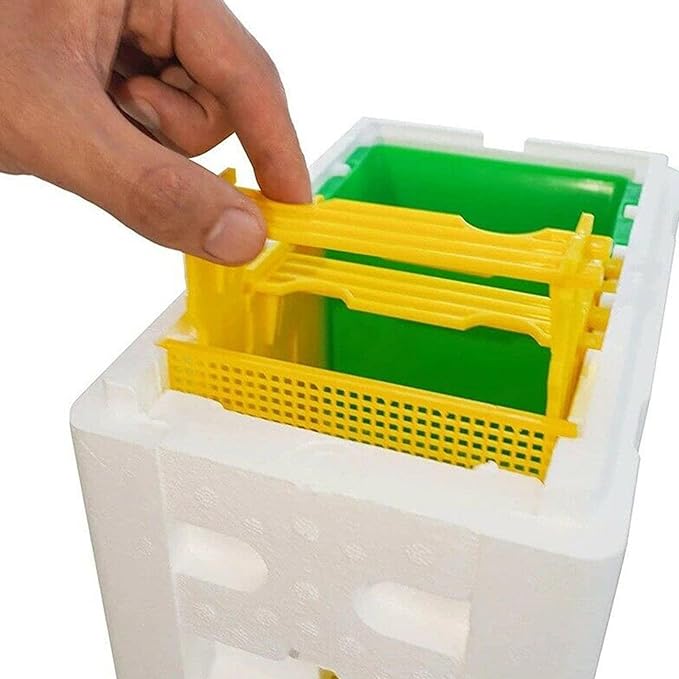 Mini Mating Box Queen Bee Rearing - Plastic Styrene Foam Hive Harvest Copulation