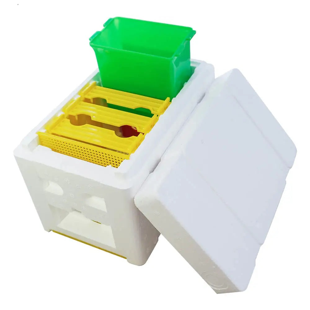 Mini Mating Box Queen Bee Rearing - Plastic Styrene Foam Hive Harvest Copulation