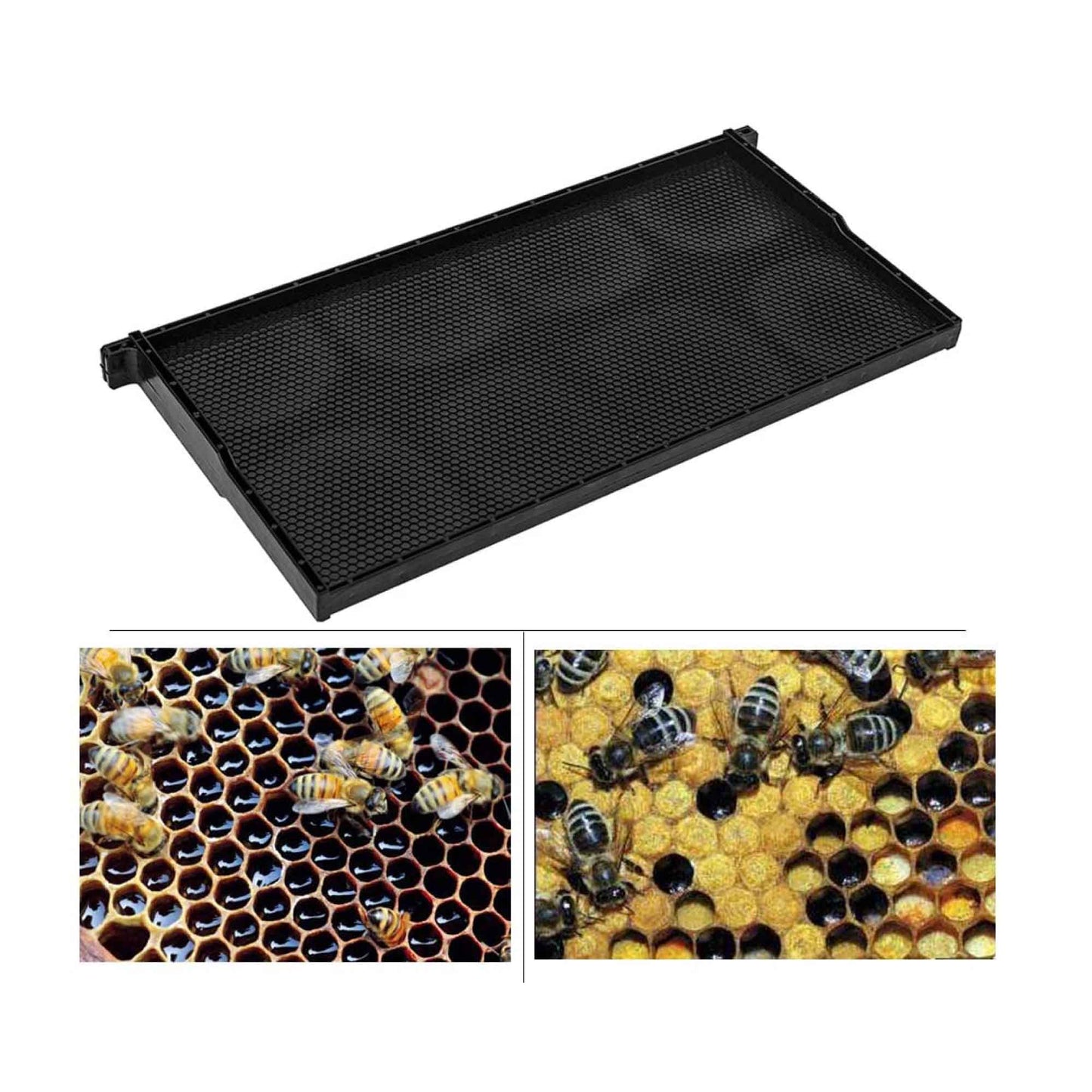 Beehive Plastic Frames 20x Foundations Langstroth Bee Hive Deep Box Beekeeping