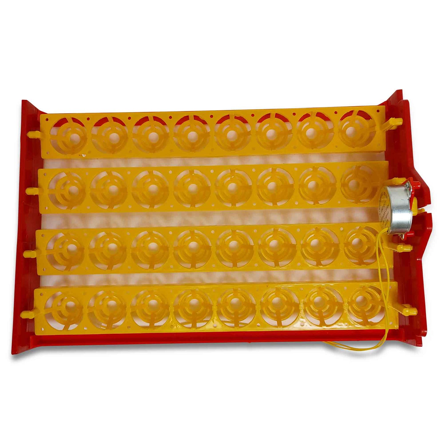Electric egg incubator with assembled layout and visible hardware