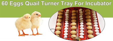 Egg Incubator 60 Eggs + Accessories Hatching for Chicken Quail Duck