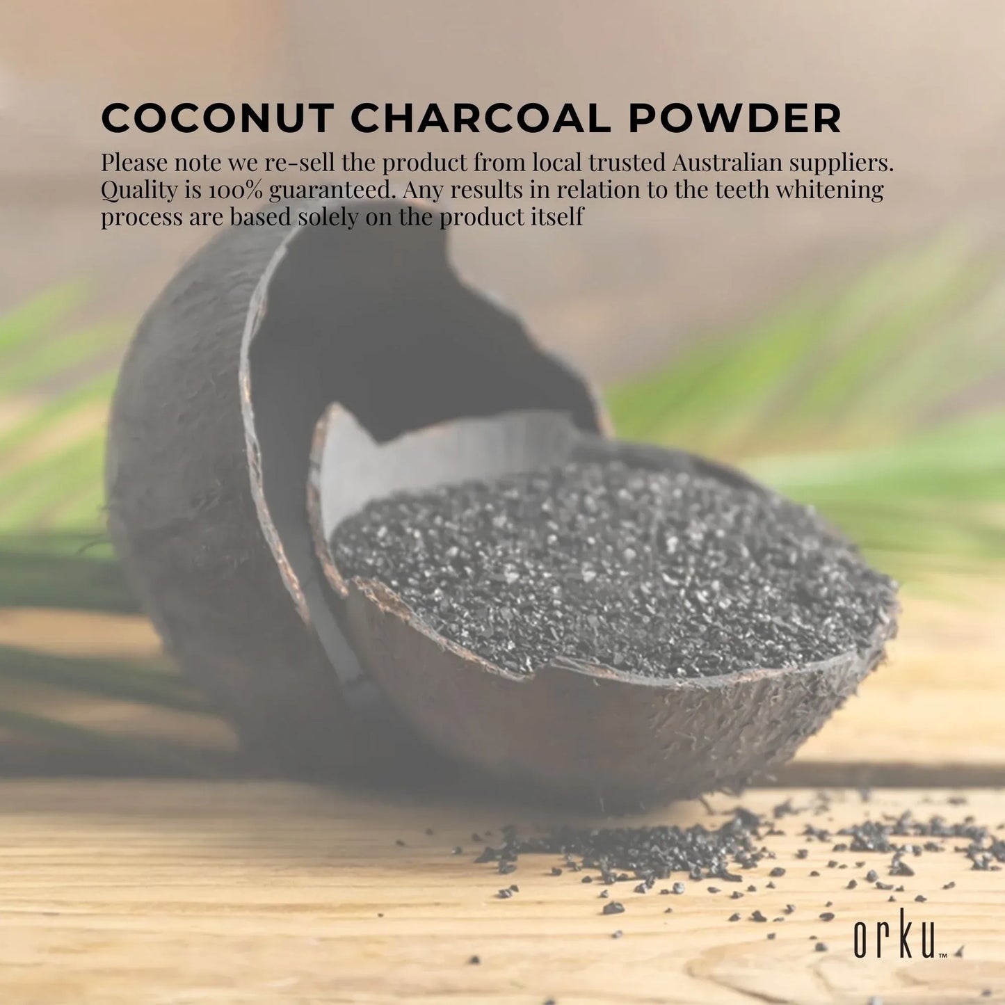 Granular Activated Carbon GAC Coconut Shell Charcoal 10Kg - Bulk Water Filtering