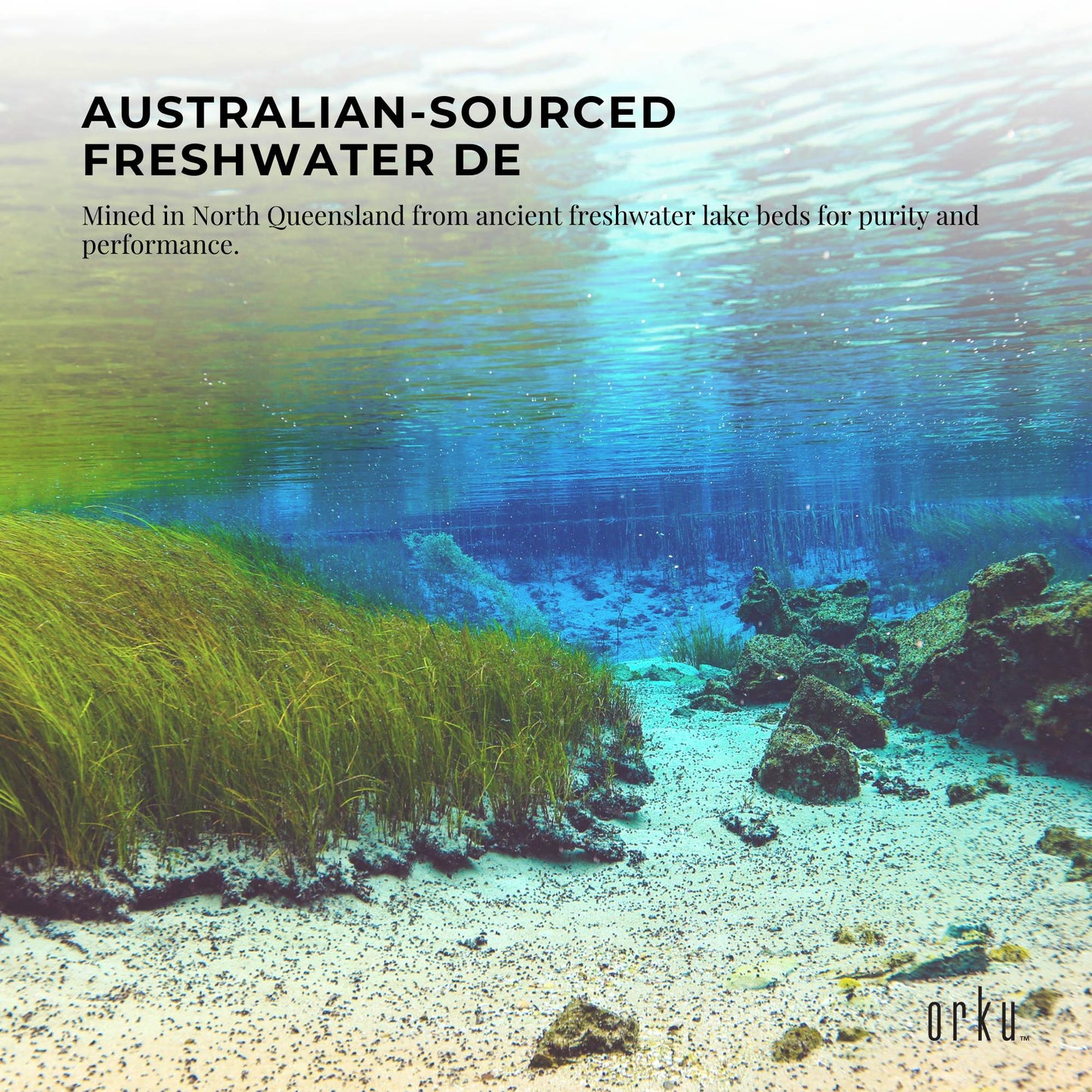 Orku Fossil Shell Flour 1Kg - Livestock Garden Pet Diatomaceous Earth