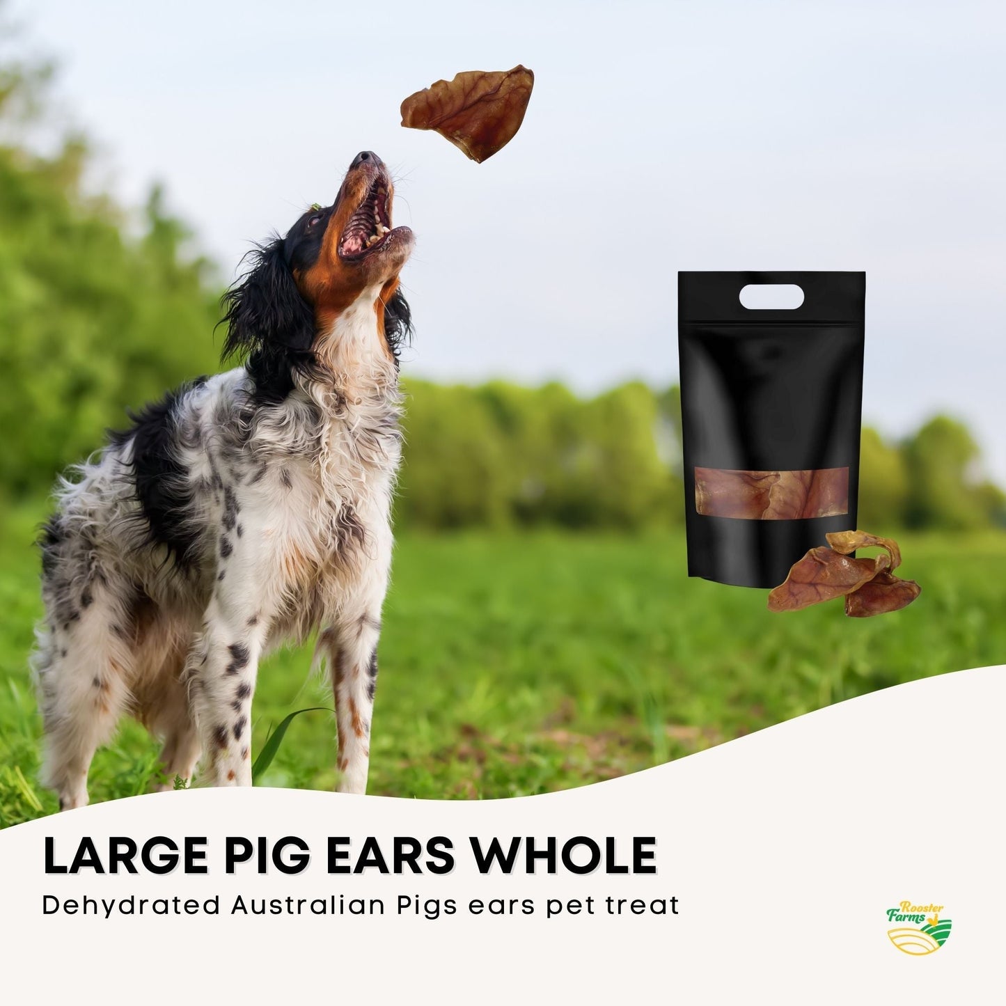 Dog Treat Large Pig Ears Whole 10x Dehydrated Australian Healthy Puppy Chew