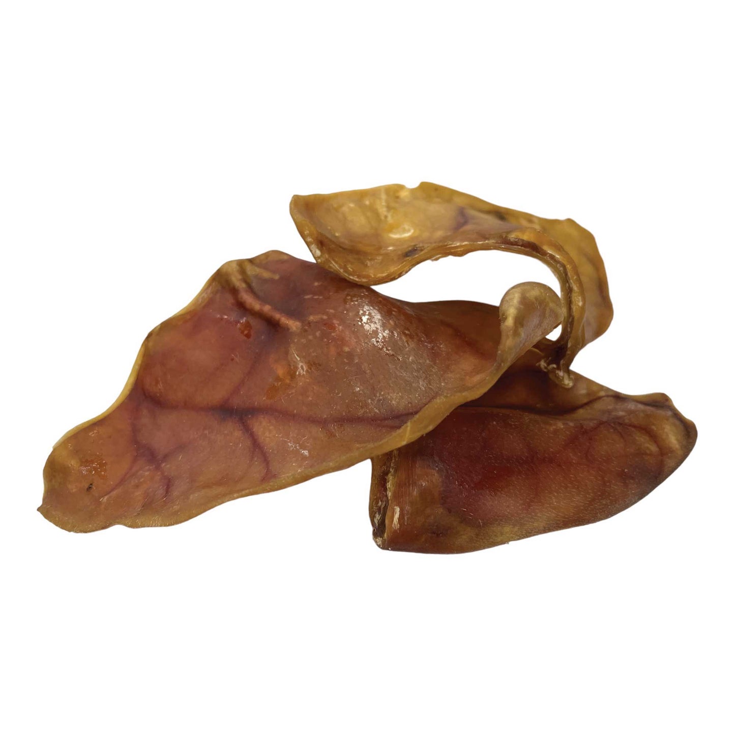 Dog Treat Large Pig Ears Whole 10x Dehydrated Australian Healthy Puppy Chew