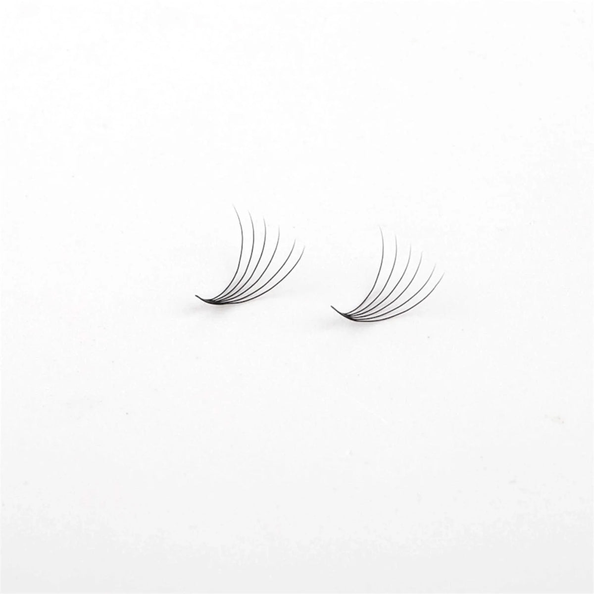 Miosh Eyelash Extensions - XL 6D Premade Volume Short Stem Lash 0.07 / D CURL