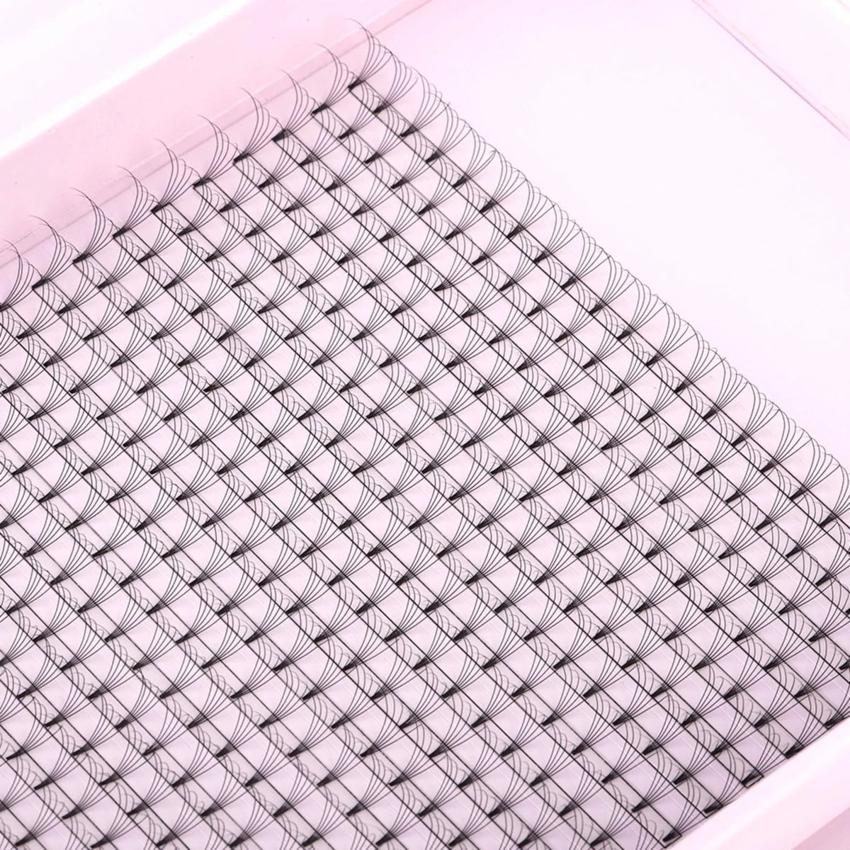 Miosh Eyelash Extensions - XL 5D Premade Volume Short Stem Lash 0.10 / D CURL