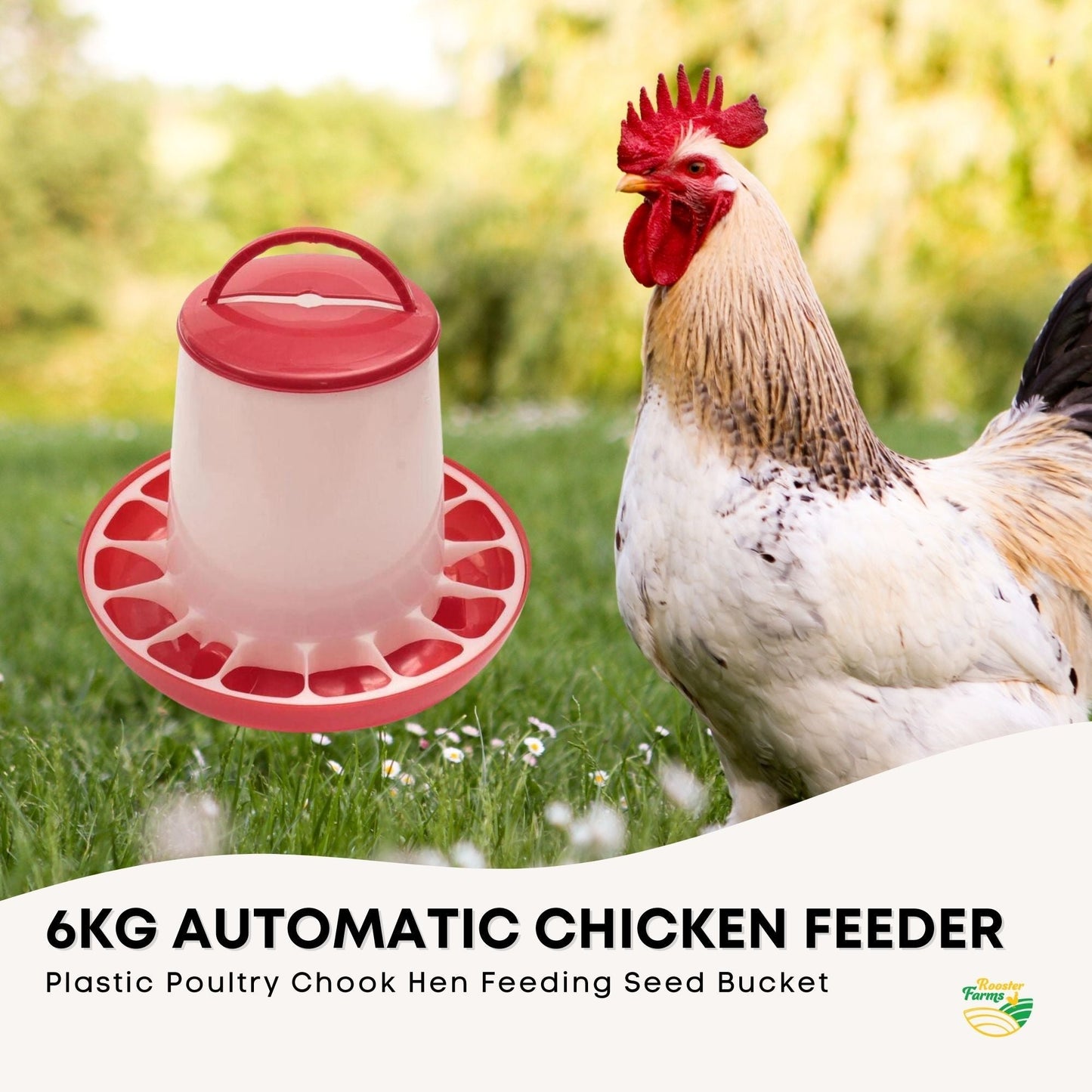 Automatic Chicken Feeder 6Kg Plastic Poultry Chook Hen Feeding Seed Bucket