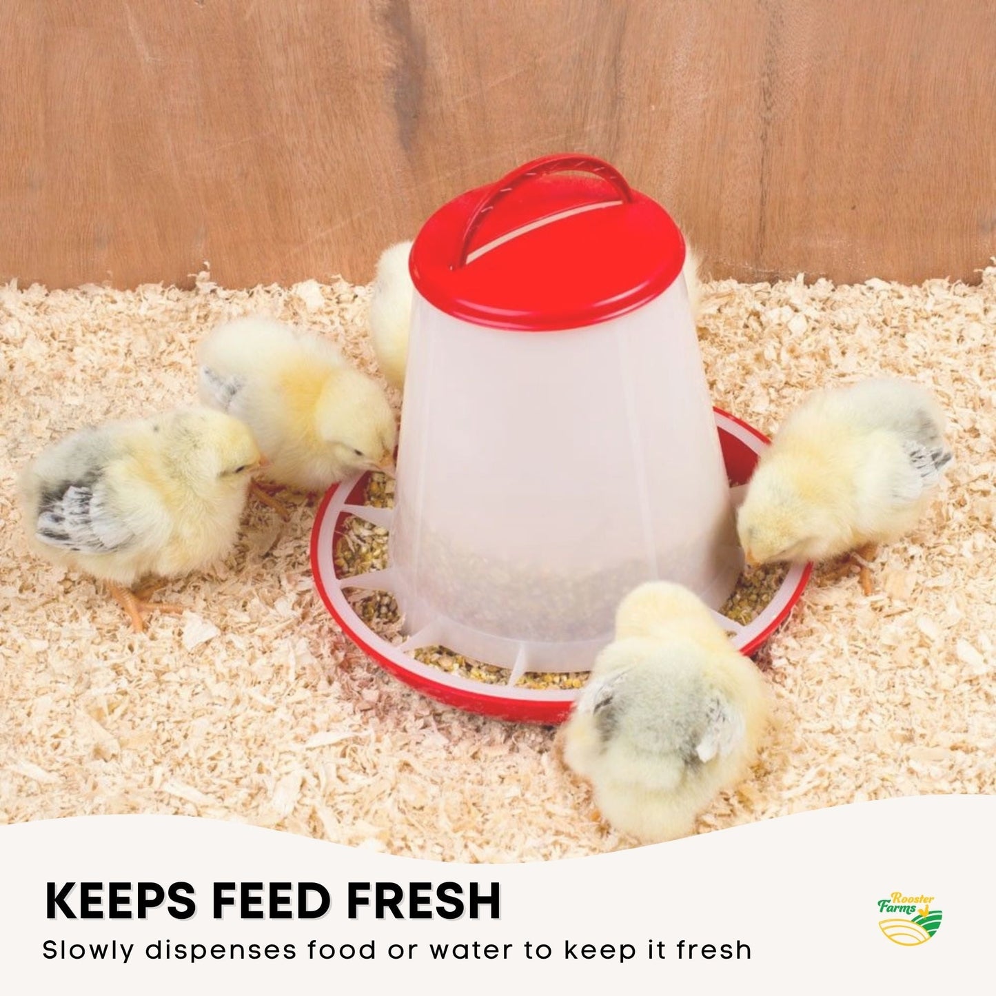 Automatic Chicken Feeder 6Kg Plastic Poultry Chook Hen Feeding Seed Bucket