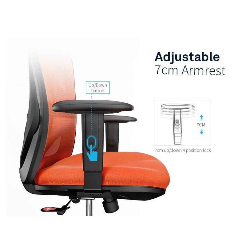 Sihoo M18 Ergonomic Office Chair, Computer Chair Desk Chair High Back Chair Breathable,3D Armrest and Lumbar Support