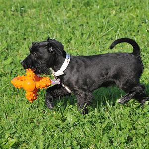 Major Dog Octopus Retrieval Ball Fetch Toy Large