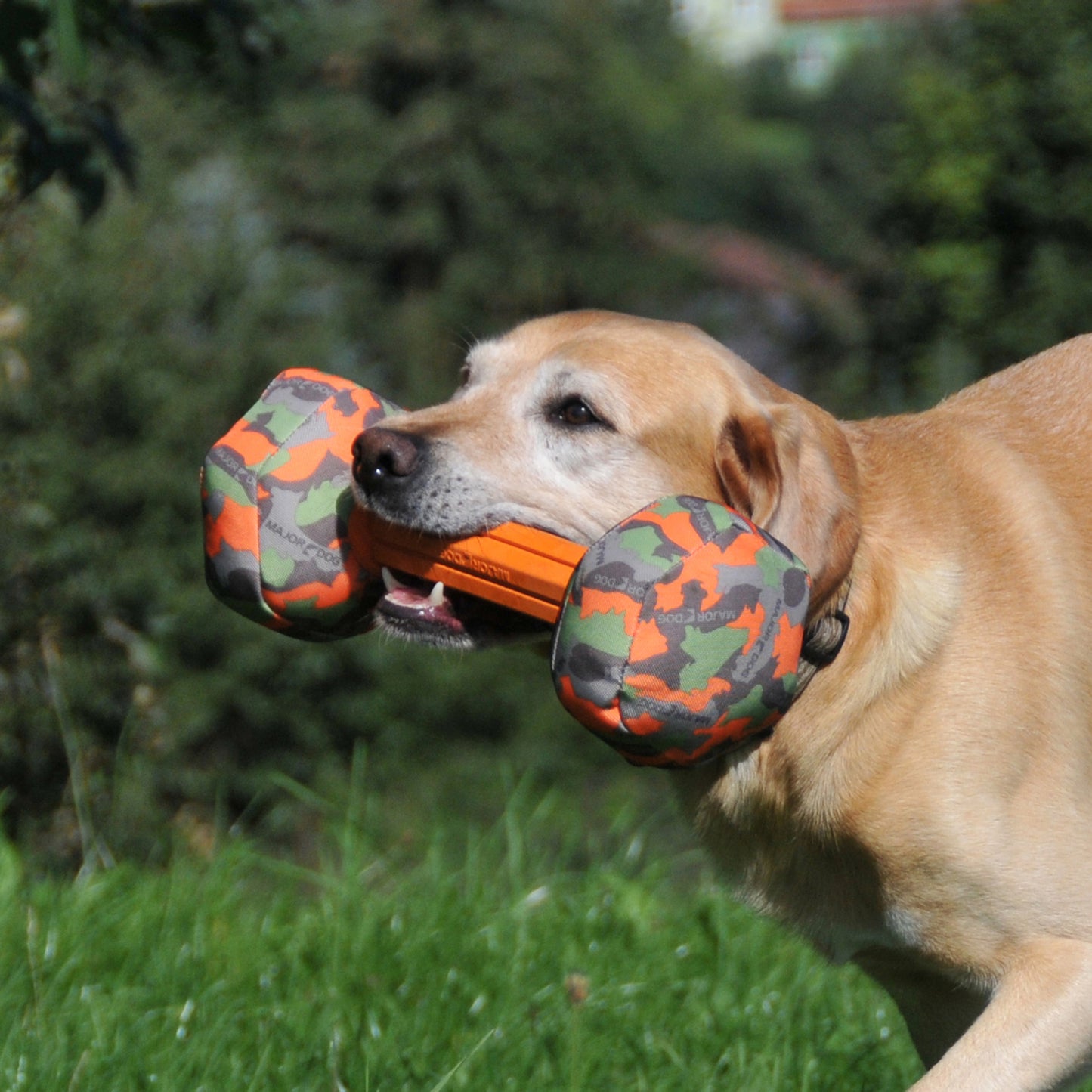 Major Dog Barbell Retrieval Toy Large