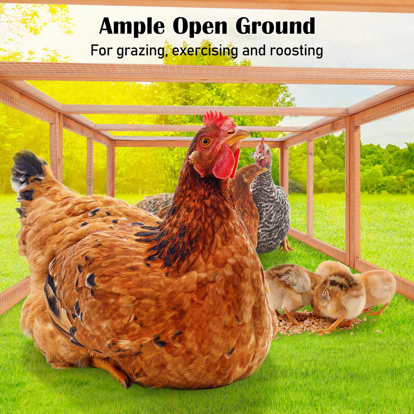 Paw Mate Chicken Coop Rabbit Hutch Extension Run 180 x 90 x 48cm - Runey