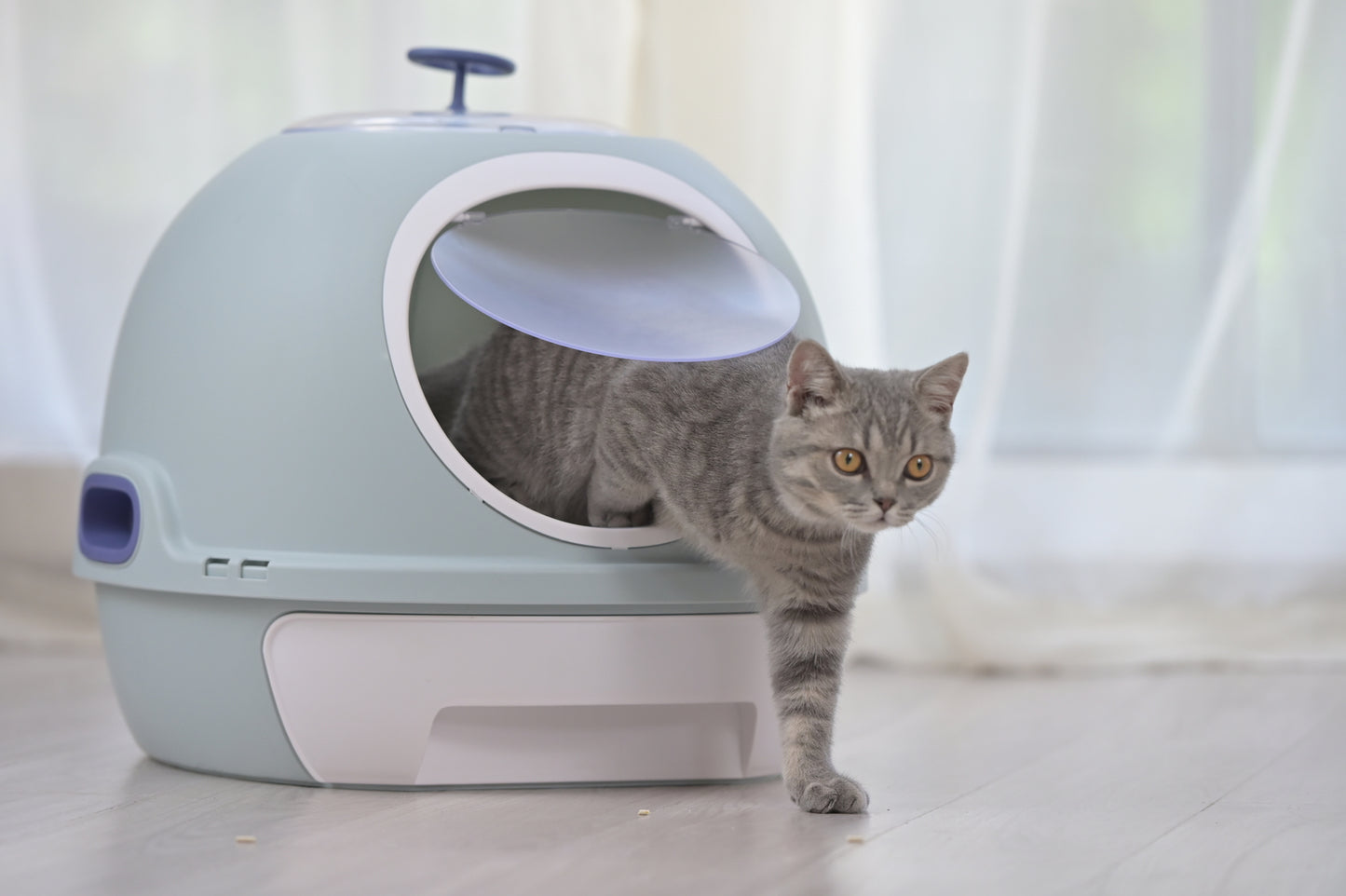 Cat Toilet Litter Box Hooded Tray House with Drawer & Scoop - Blue