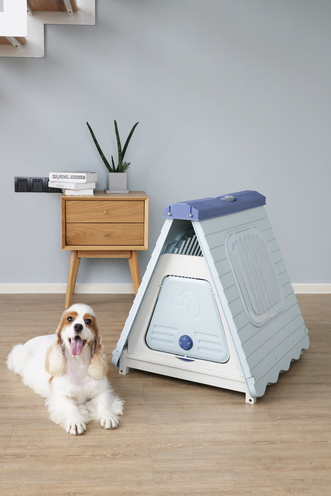 Pet Dog House Small Foldable Plastic Puppy Cat Kennel - Blue