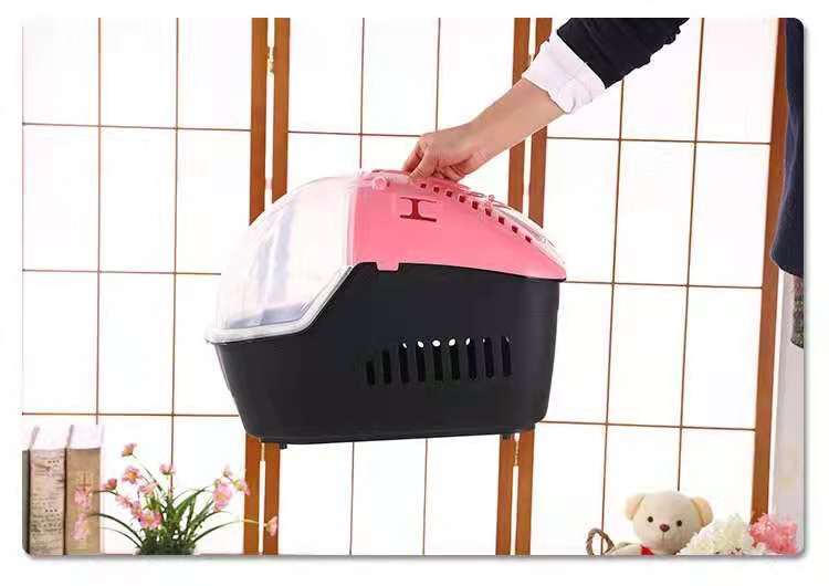 Pet Carrier Small Portable Travel Dog Cat Crate with Comfort Mat - Pink