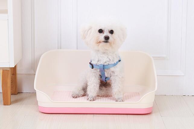 Dog Potty Training Tray Medium Portable with Wall Pet Puppy Toilet Loo Pad Mat - Pink