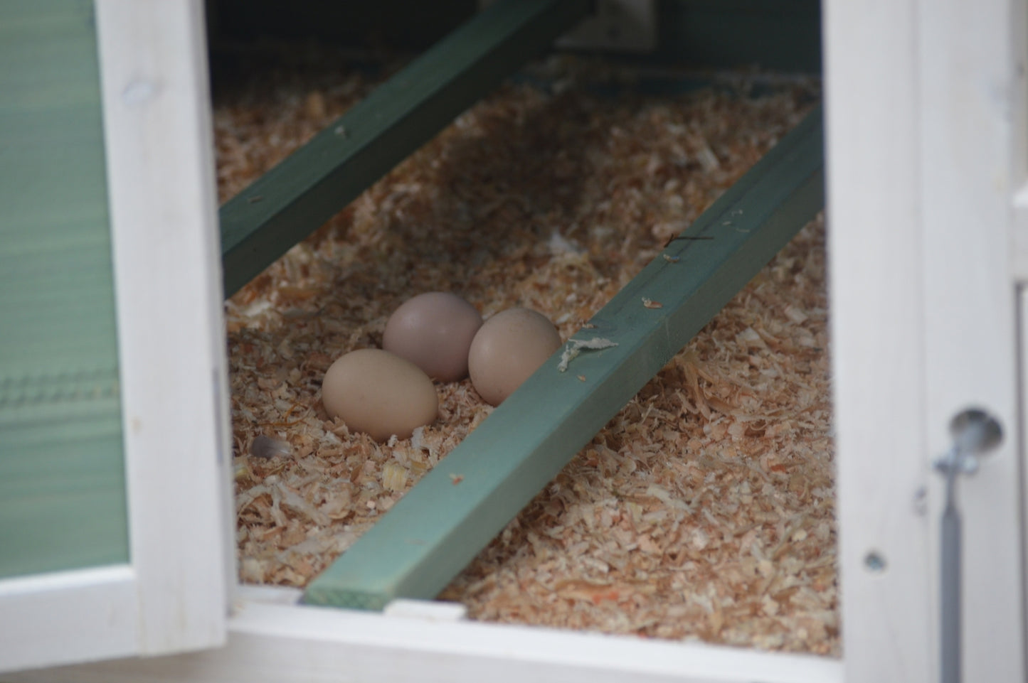 Green Large Chicken Coop Rabbit Hutch Ferret Guinea Pig Cage - Hen Chook Cat Kitten House